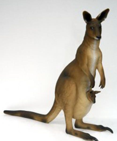 kanguru_01